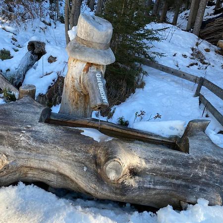 Ferienwohnung 4 Personen Alleinlage Am Wald Naehe Skigebiet Hochzeiger Jerzens Luaran gambar