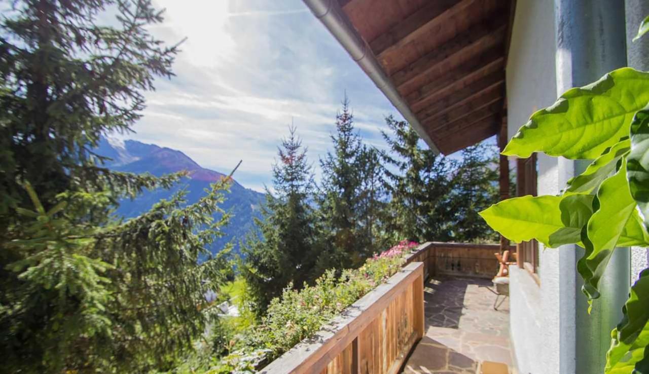 Ferienwohnung 4 Personen Alleinlage Am Wald Naehe Skigebiet Hochzeiger Jerzens Luaran gambar